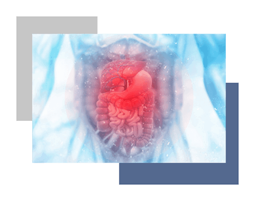 Integrative-Digestive-Formula-different-from-Probiotics-or-Antacids?