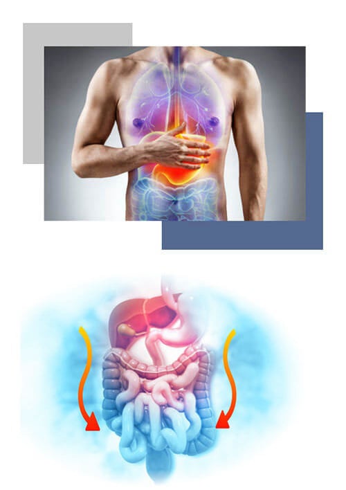 What-is-Integrative Digestive Formula?