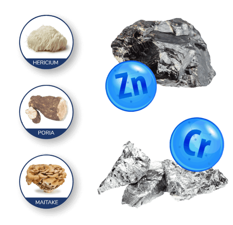 Science-behind-this-Integrative-Digestive-Formula-image